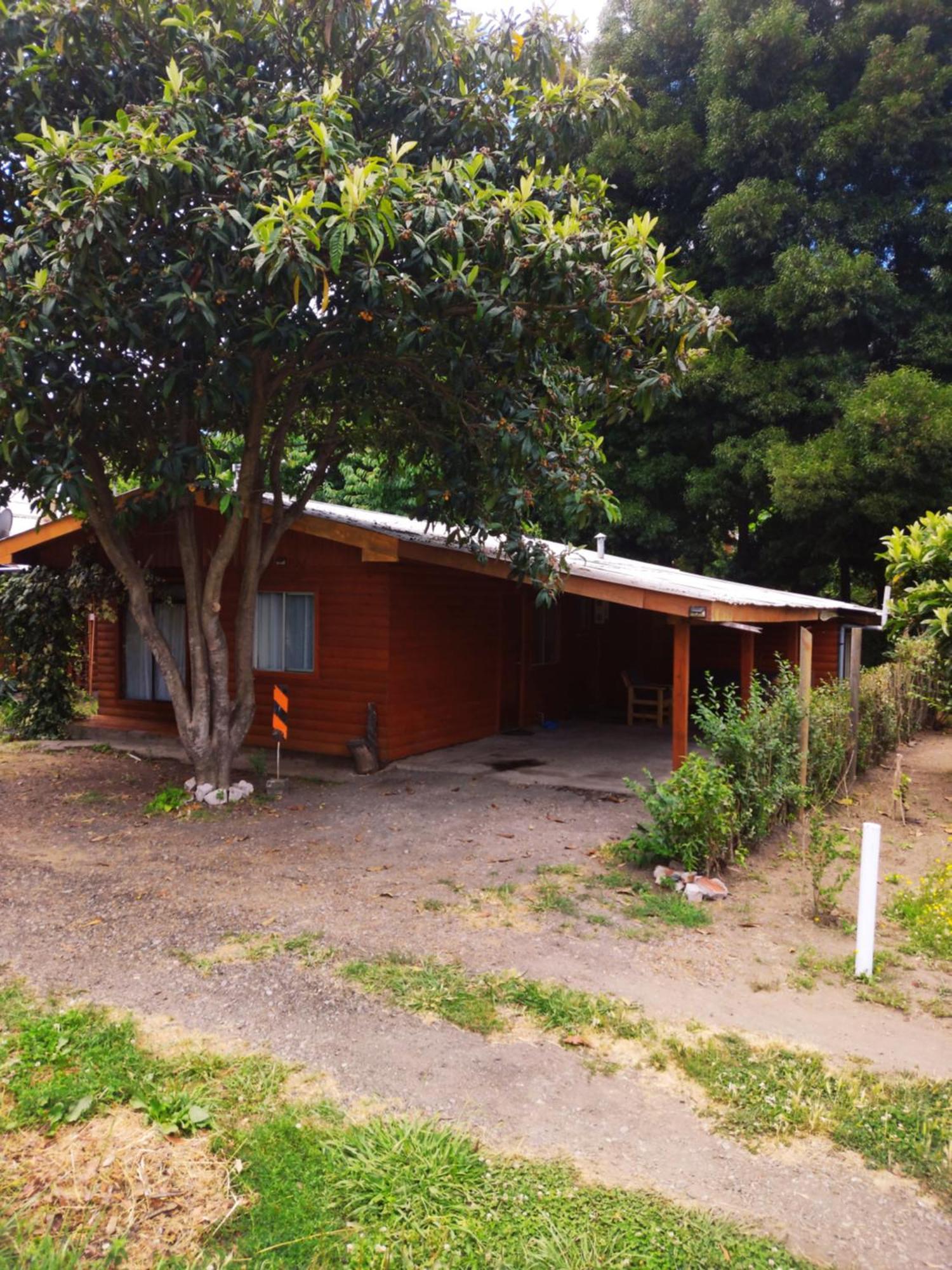 Cabana La Araucaria Эль-Мансано Номер фото